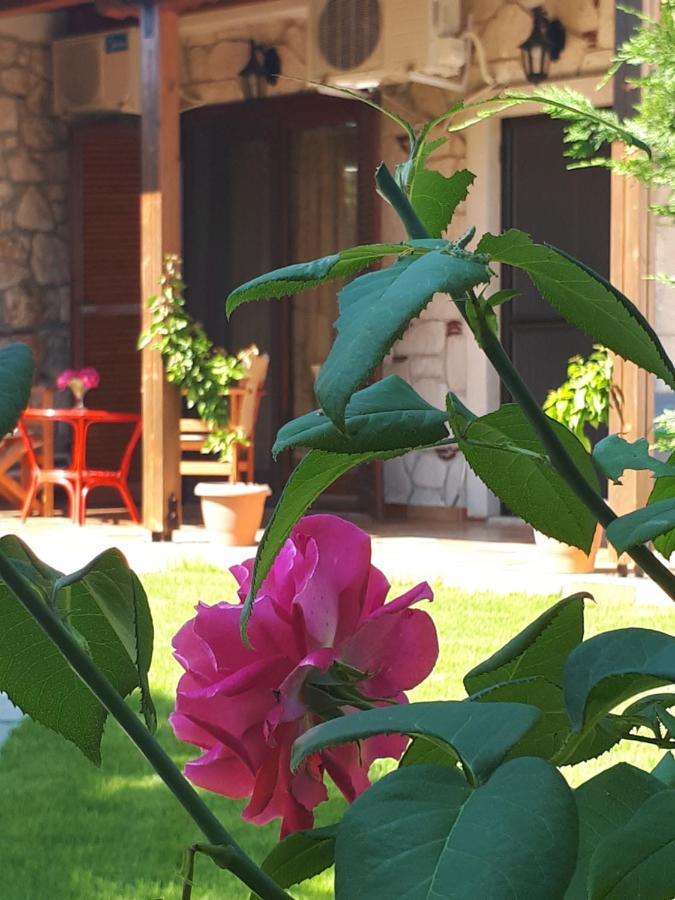 Villa George Afytos Exteriér fotografie