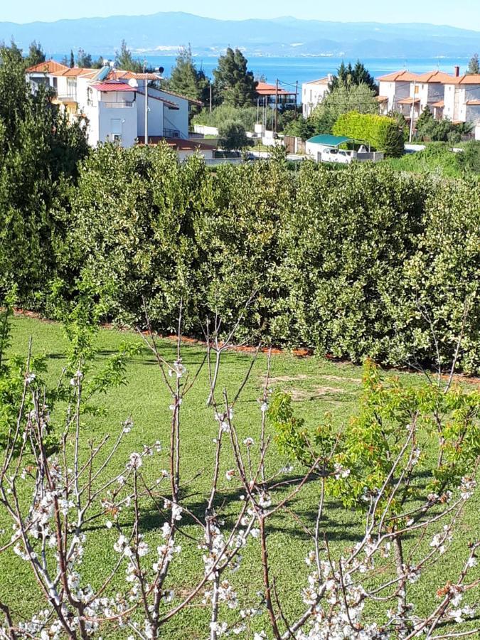 Villa George Afytos Exteriér fotografie
