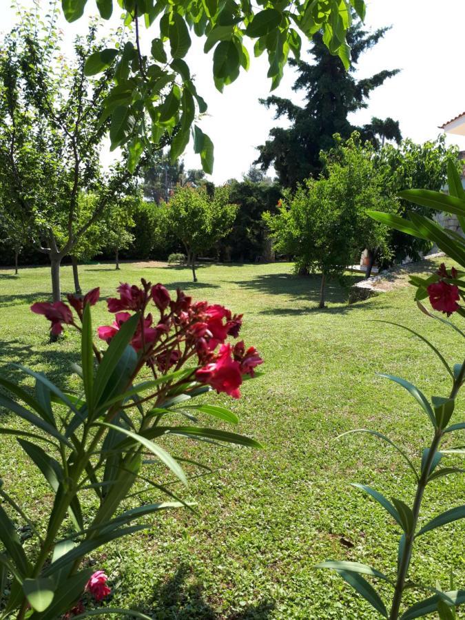 Villa George Afytos Exteriér fotografie