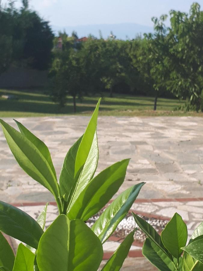Villa George Afytos Exteriér fotografie