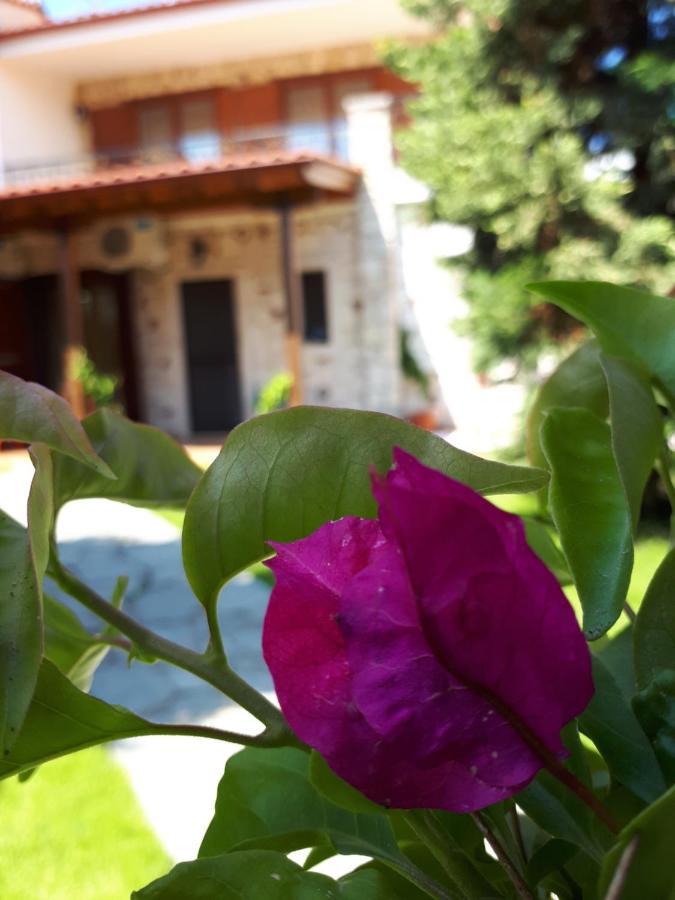 Villa George Afytos Exteriér fotografie