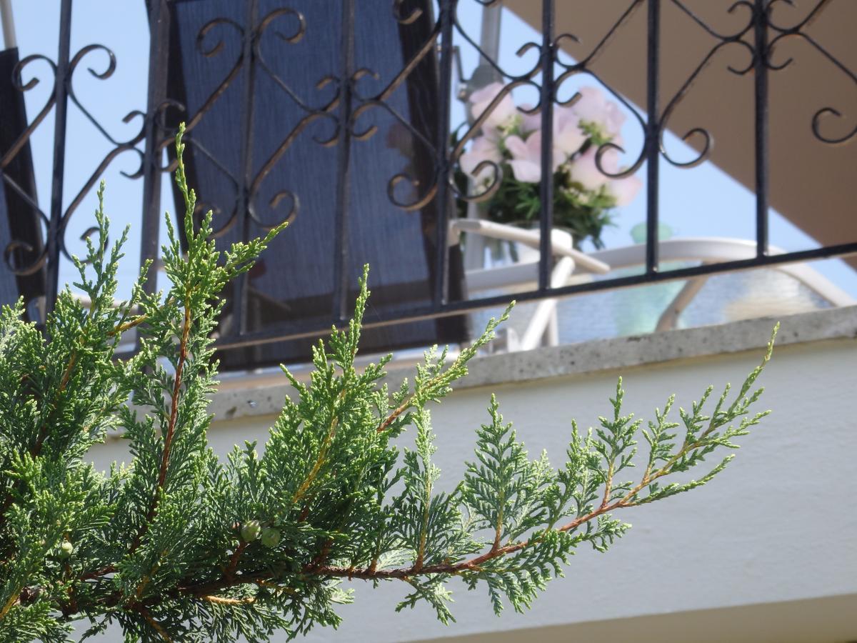 Villa George Afytos Exteriér fotografie